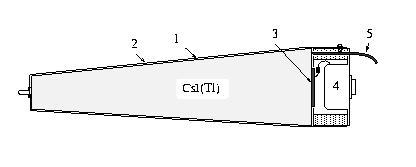 CsI(Tl) Module